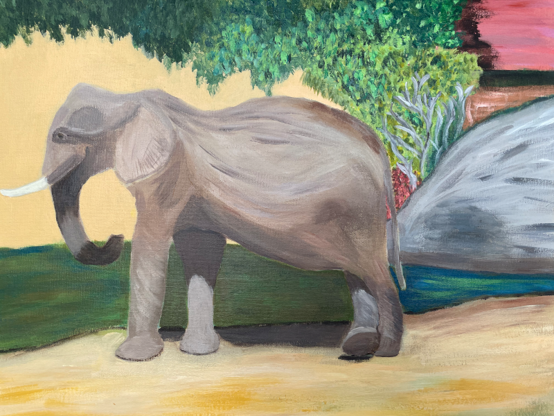 elephant at cleveland metro park zoo