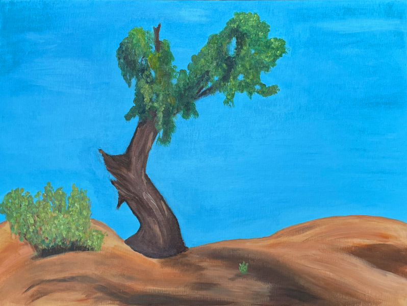 tree in desert