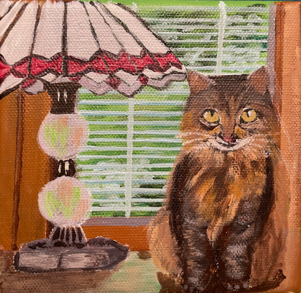 Koko on table with lamp near window