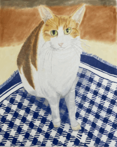 colored pencil drawing of our cat oskar