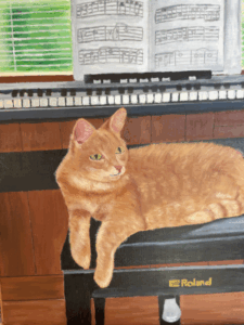 our cat zap sitting on bench in front of piano
